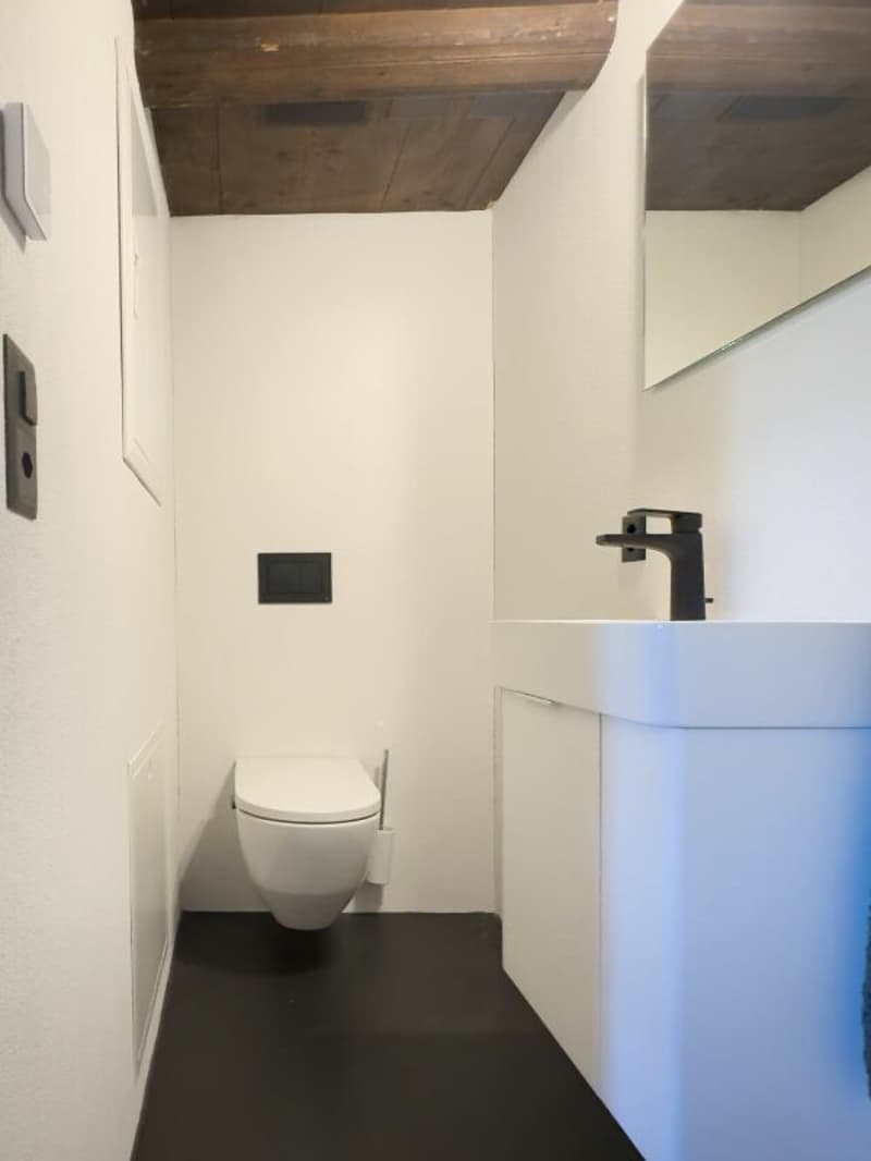 Modern ausgebaute 2.5-Zimmer-Duplexwohnung mit einzigartiger Wohnqualität, gemütlicher Loggia, Einstellhallenplatz und vielfältigen Annehmlichkeiten im Schlosspark (13)
