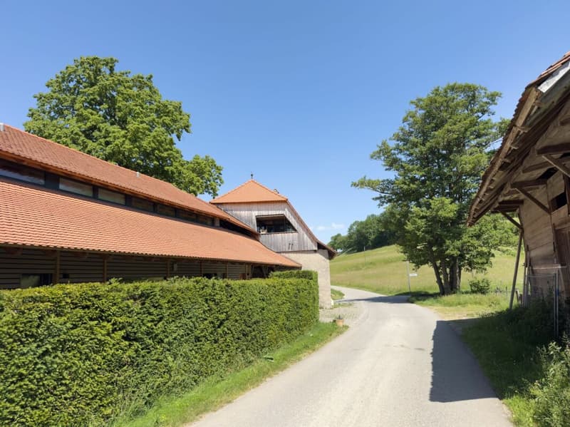 Modern ausgebaute 2.5-Zimmer-Duplexwohnung mit einzigartiger Wohnqualität, gemütlicher Loggia, Einstellhallenplatz und vielfältigen Annehmlichkeiten im Schlosspark (22)