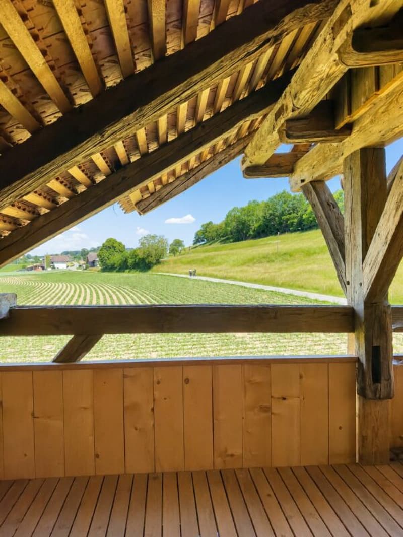 Modern ausgebaute 2.5-Zimmer-Duplexwohnung mit einzigartiger Wohnqualität, gemütlicher Loggia, Einstellhallenplatz und vielfältigen Annehmlichkeiten im Schlosspark (16)