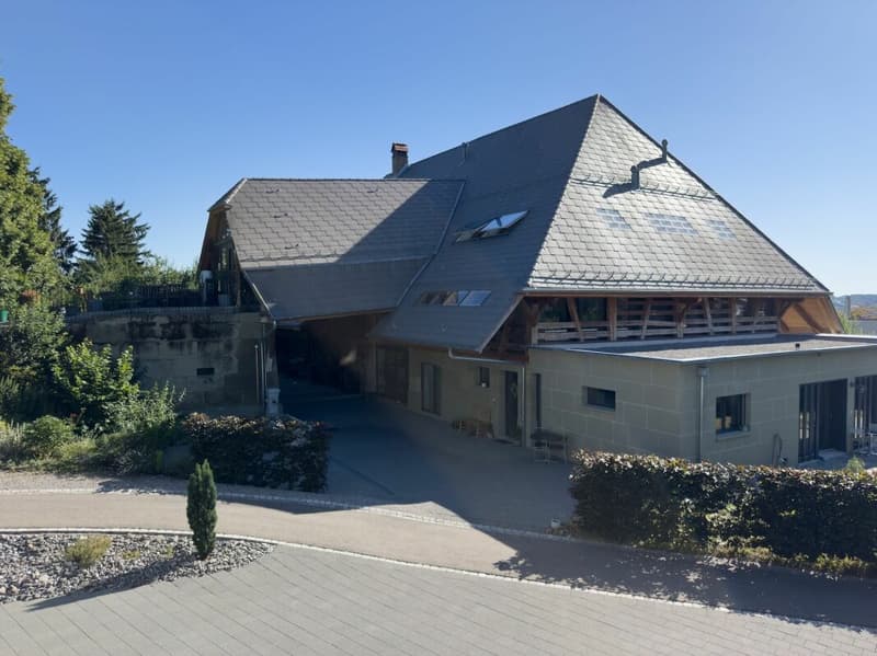 Exklusive Loftwohnung mit sonnigen Aussenräumen, unverbaubarer Aussicht, XXL-Garage und gedecktem Aussenparkplatz. (20)