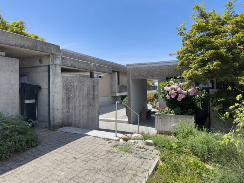 Von Grund auf erneuert, bis ins Detail hochwertig ausgebaut! Ein aussergewöhnliches Terrassenhaus mit über 112 m² Sonnenterrasse (18)