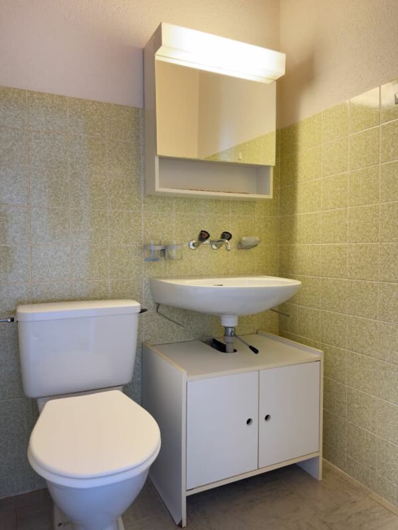 6.5-Zimmer-Einfamilienhaus im Bungalowstil mit grossem Garten und Einstellhallenplatz (16)