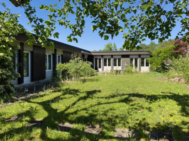 6.5-Zimmer-Einfamilienhaus im Bungalowstil mit grossem Garten und Einstellhallenplatz (18)