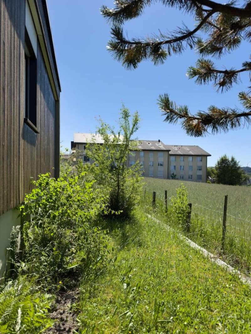 6.5-Zimmer-Einfamilienhaus im Bungalowstil mit grossem Garten und Einstellhallenplatz (19)