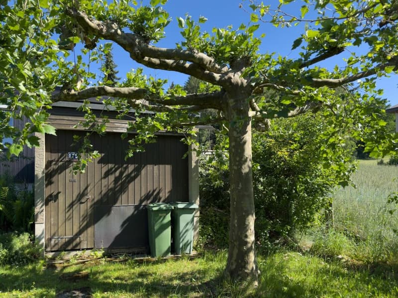 6.5-Zimmer-Einfamilienhaus im Bungalowstil mit grossem Garten und Einstellhallenplatz (20)