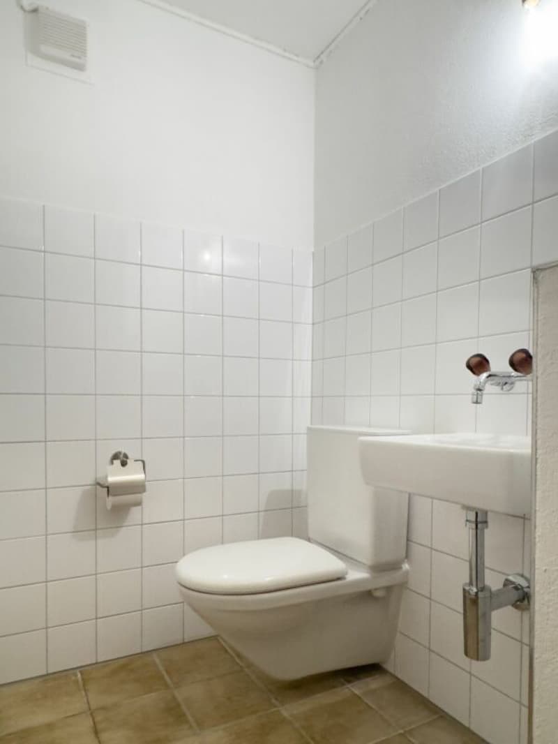 Freistehendes 6-Zimmer-Einfamilienhaus mit schöner Gartenanlage, Balkon, Garage und Vorplatz mit Parkplatzmöglichkeiten (22)
