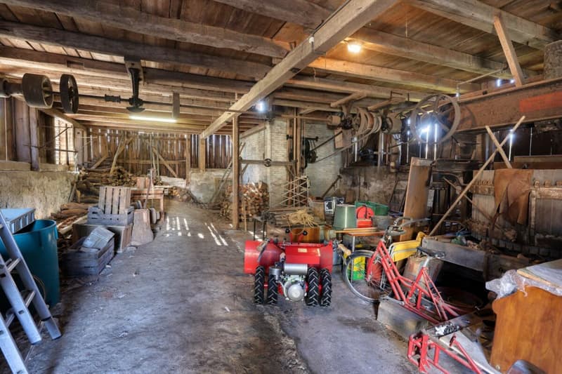 Courtyard with renovation potential for a dream house (7)