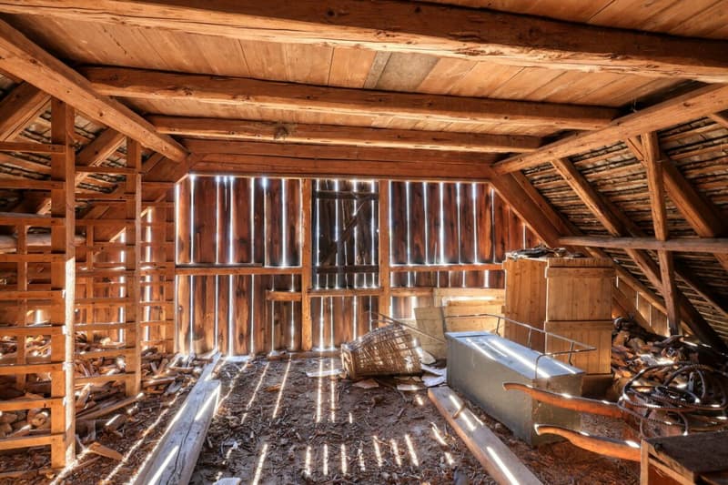 Trotte mit Umbaupotenzial zum Traumhaus (4)