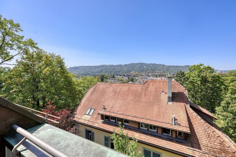 Wohnbijou im beliebten Wohnquartier Zürich-Enge (7)