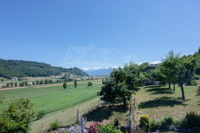 4.5-Zimmer-Reiheneckhaus mit Weitblick und Terrasse in Toffen Nr. 94 (13)