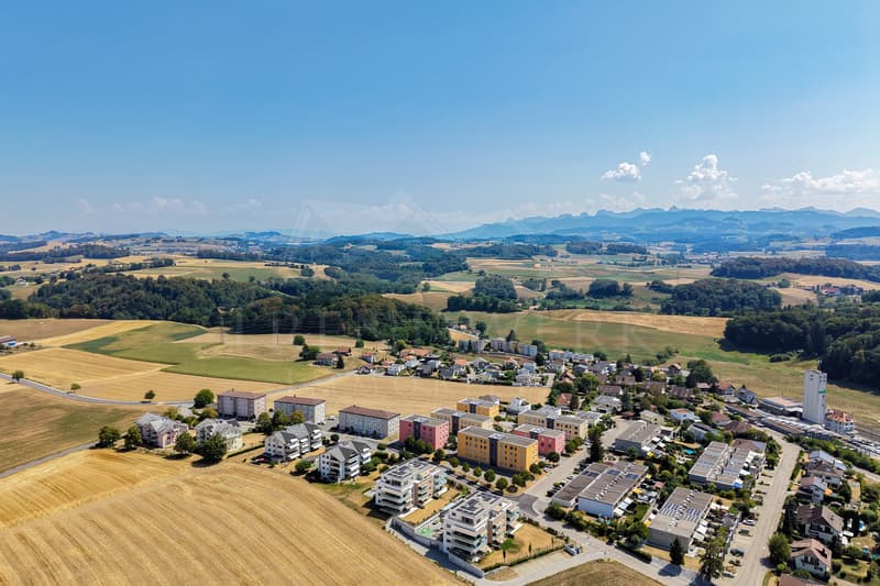 Ruhiges 6-Zimmer-Reiheneinfamilienhaus mit Pool & Garage in Wünnewil (2)