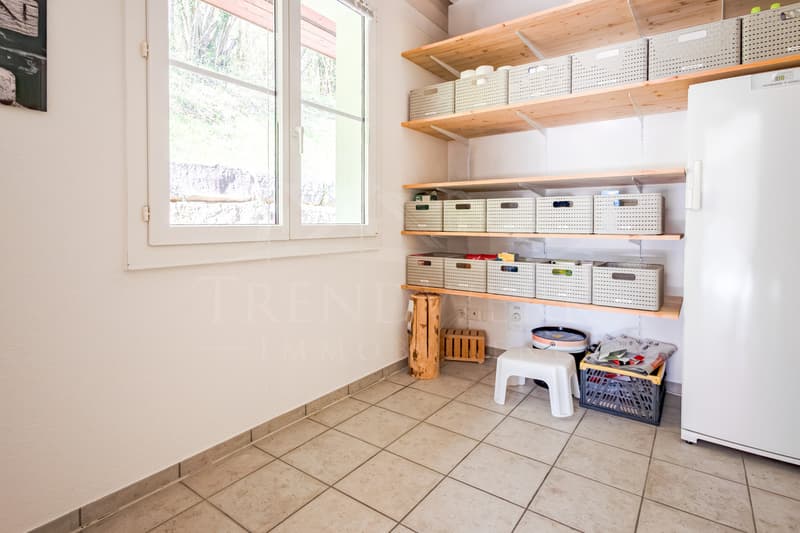 Schönes 5.5-Zimmer Einfamilienhaus mit Blick auf die Aare in Trimbach (4)