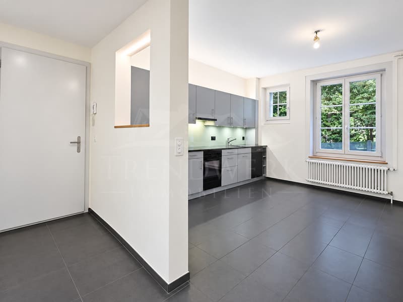 Frisch renovierte 3-Zimmer-Gartenwohnung in Bern mieten (1)