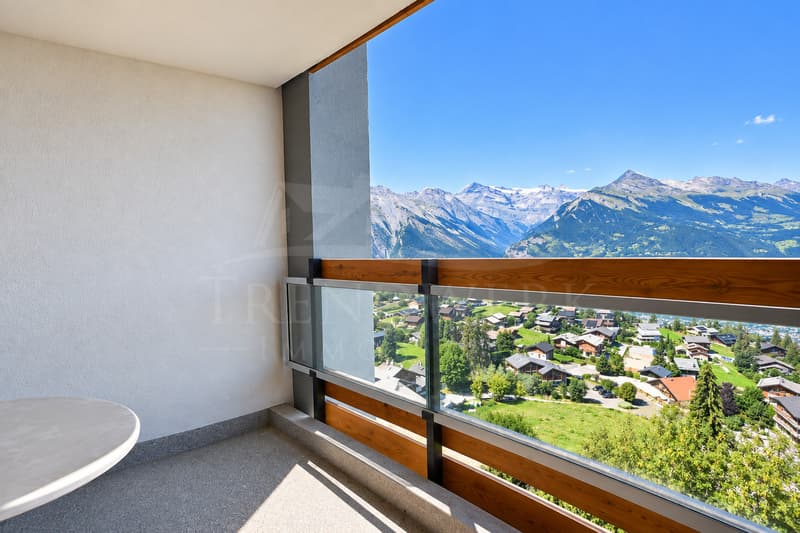 2-Zimmer-Ferienwohnung mit Bergpanorama in Haute-Nendaz (9)