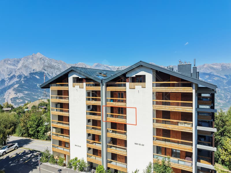2-Zimmer-Ferienwohnung mit Bergpanorama in Haute-Nendaz (1)