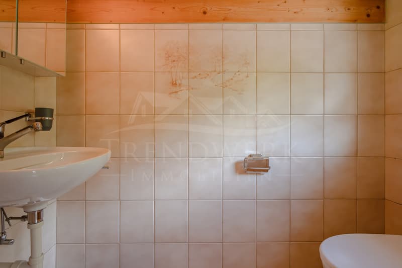 Naturnahes 8-Zimmer-Zweifamilienhaus im ruhigen Saland (9)