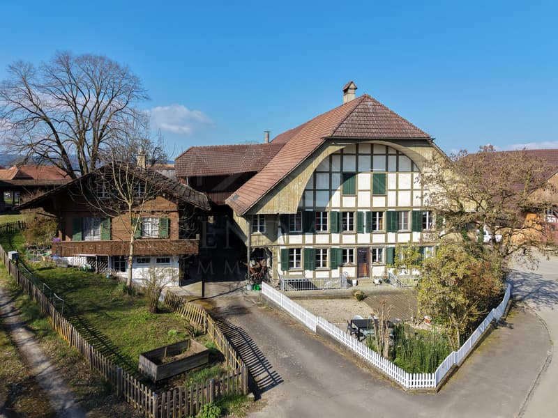 Grosszügiges Bauernhaus mit Stöckli und viel Potenzial in Seewil (1)