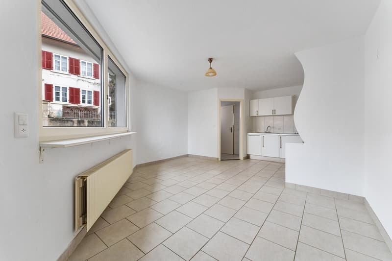 Prachtvolle Ein-Zimmer-Wohnung (1)