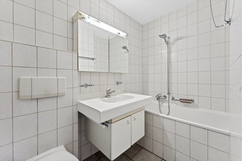 Charming 3-room apartment (8)