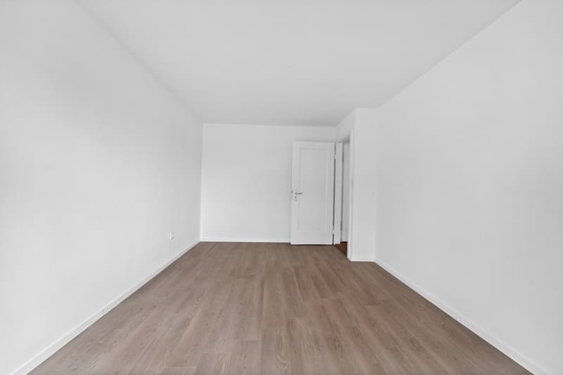 Charming 3-room apartment (4)