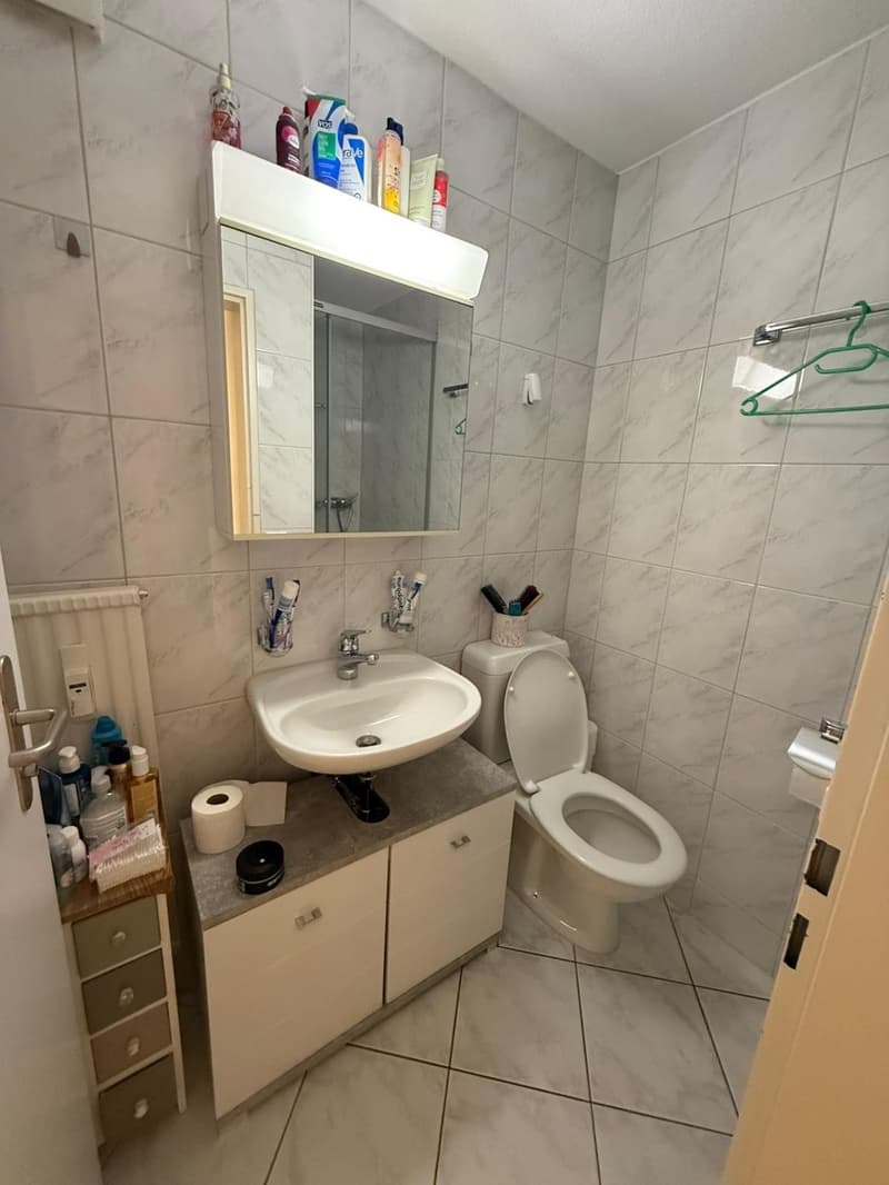 Bright 4.5-room apartment on the 4th floor in a central location in Grenchen (9)