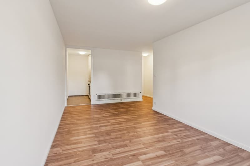 Appartamento di due locali al 1° piano completamente ristrutturato, disponibile subito (5)