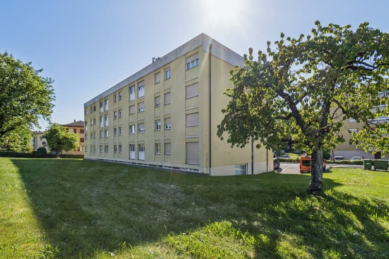 Appartamento di due locali al 1° piano completamente ristrutturato, disponibile subito (10)