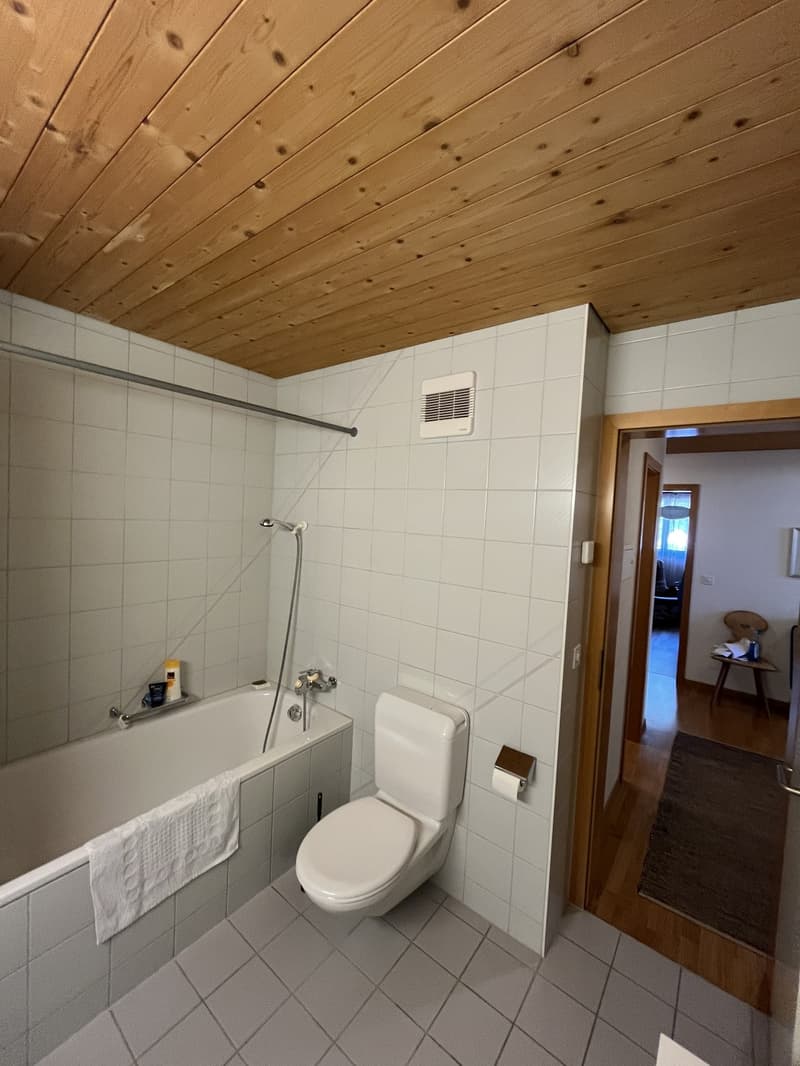 Charming 3.5-room attic apartment on the 4th floor in Meiringen (9)