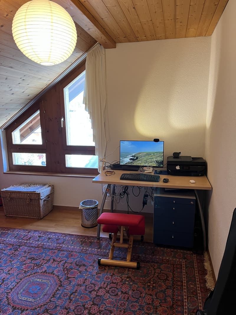 Charming 3.5-room attic apartment on the 4th floor in Meiringen (7)