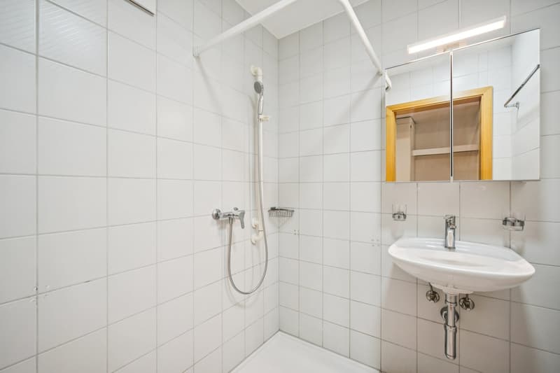 Bright 4.5-room apartment on the 1st floor in a central location in Meiringen (8)