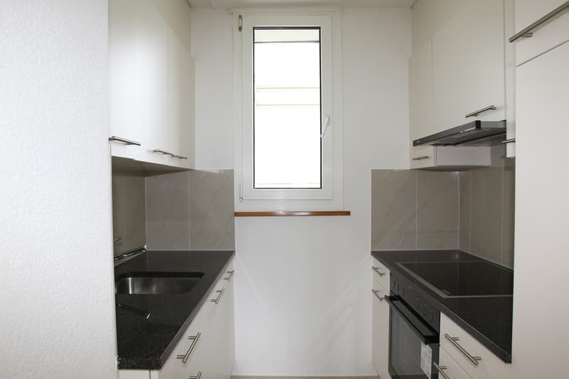 Bell'appartamento di 3 camere (4)