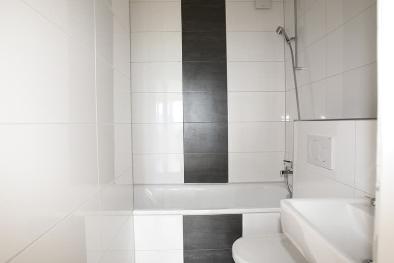 Bell'appartamento di 3 camere (5)