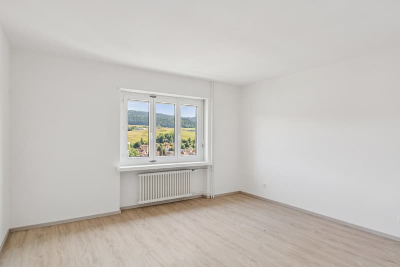 Beautiful 3.5-room apartment renovated, available immediately (2)
