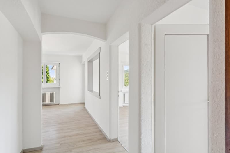 Beautiful 3.5-room apartment renovated, available immediately (3)