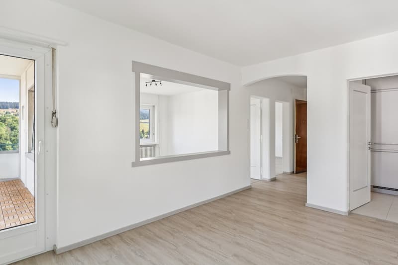 Beautiful 3.5-room apartment renovated, available immediately (4)