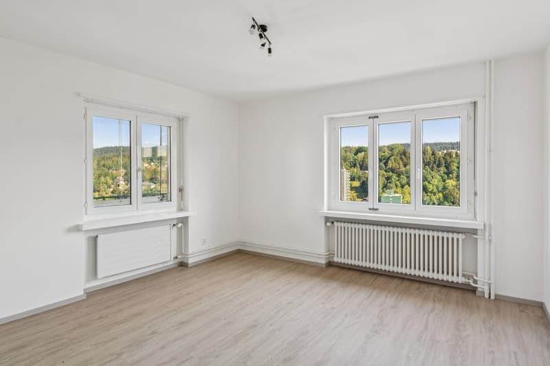 Beautiful 3.5-room apartment renovated, available immediately (6)
