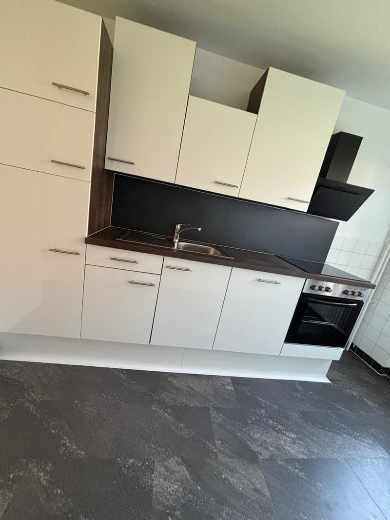 Beautiful 2-room apartment in Bussigny (5)
