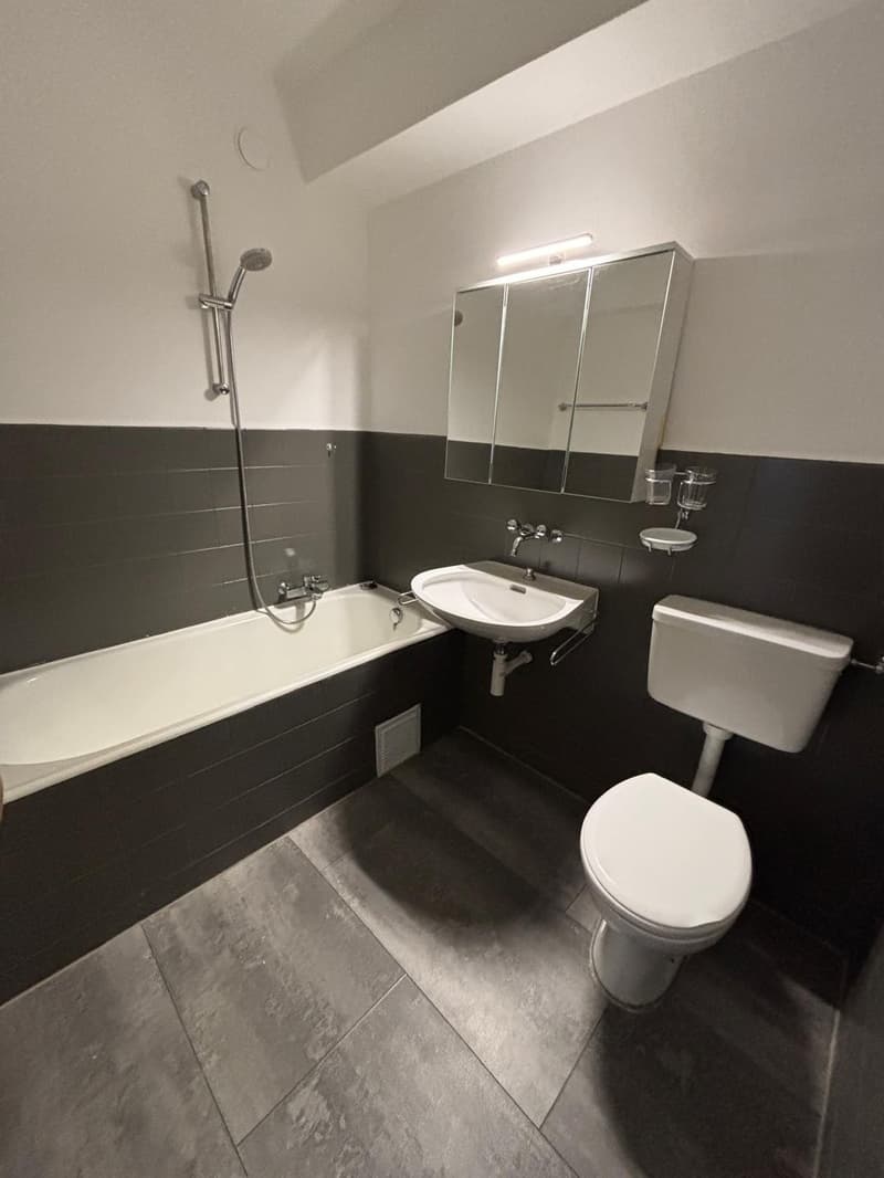 Beautiful 2-room apartment in Bussigny (7)