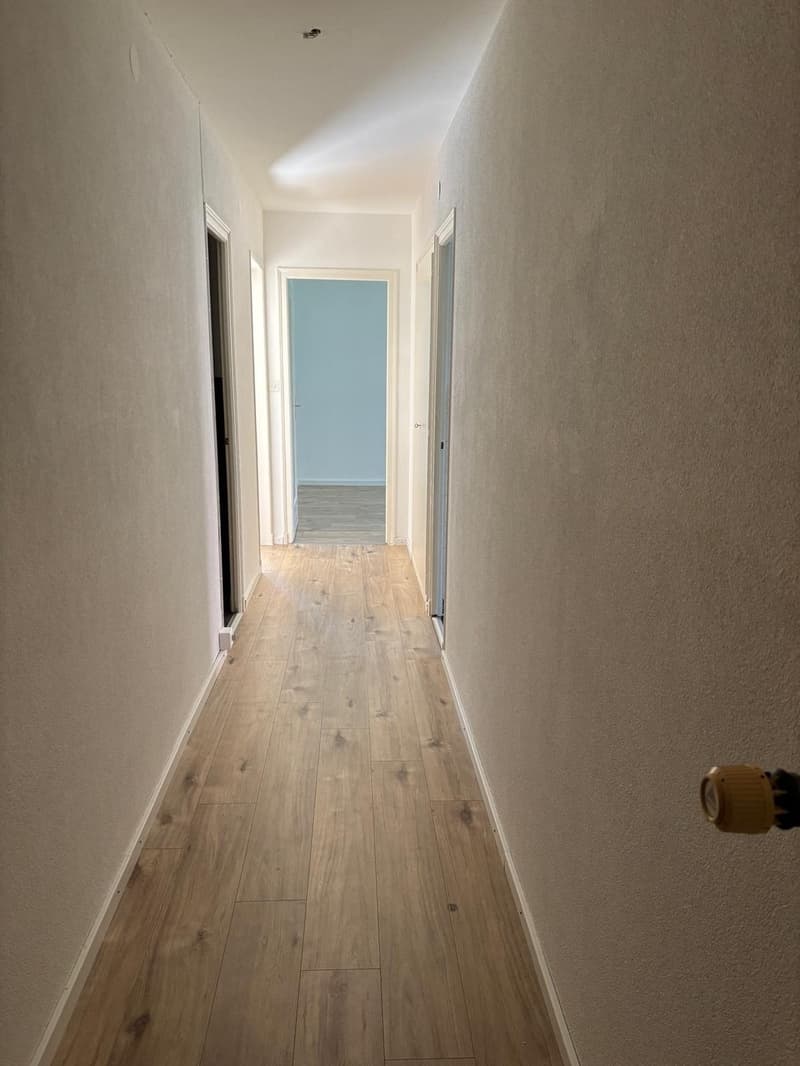 Beautiful 2-room apartment in Bussigny (4)