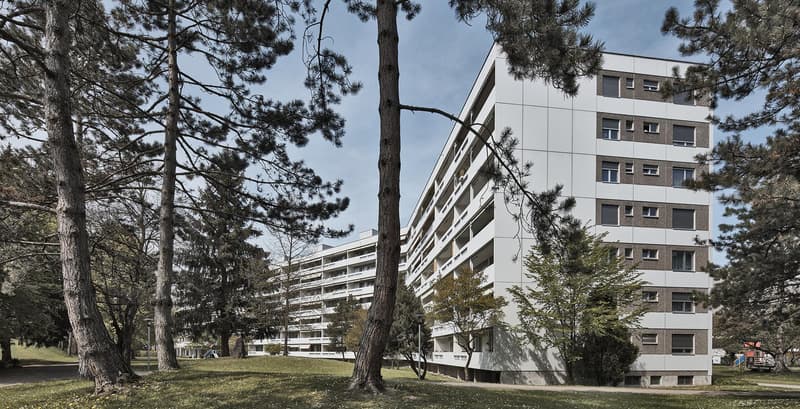 Tiefgaragenparkplätze zu vermieten Tüffenwies, Zürich (2)