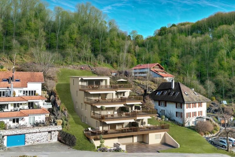 BAUFORTSCHRITT: HANGSICHERUNG VOLLENDET - BELLA VISTA.CH NIMMT FORM AN (3)