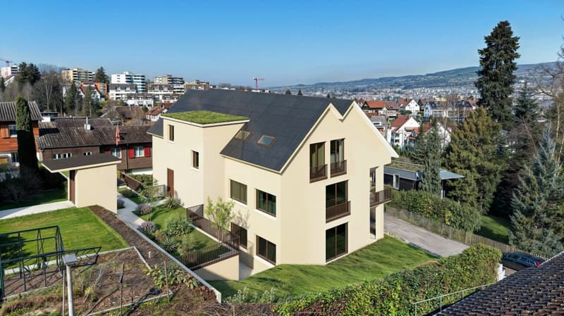 The Crown of the House Takes Shape - Attic Apartment Under Construction (13)