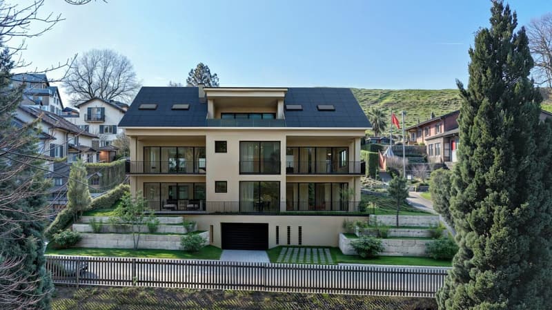 The Crown of the House Takes Shape - Attic Apartment Under Construction (12)
