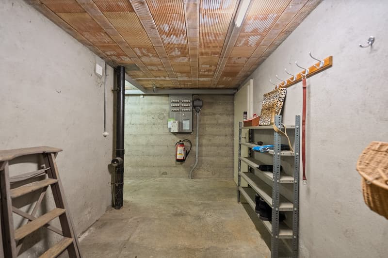 storage room, fire extinguisher, ladder, rack, wooden basket