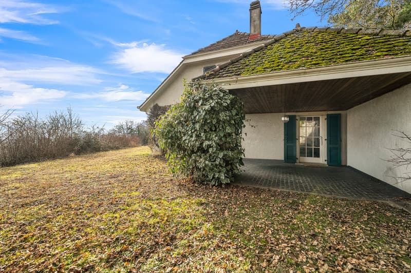 detached house, green moss on roof, brick floor entrance, chimney, green shutters