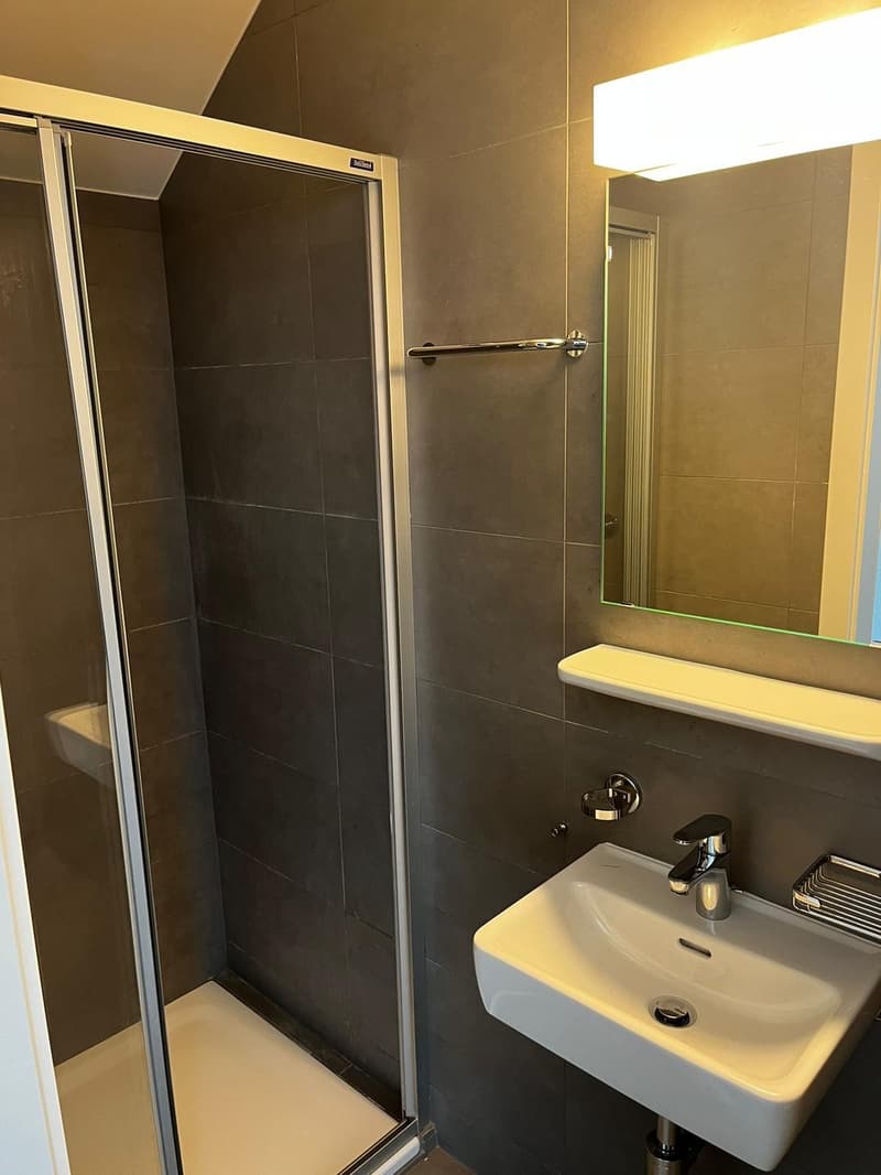 Exclusive - Spacious and bright 3.5-room duplex apartment with partial lake view (8)