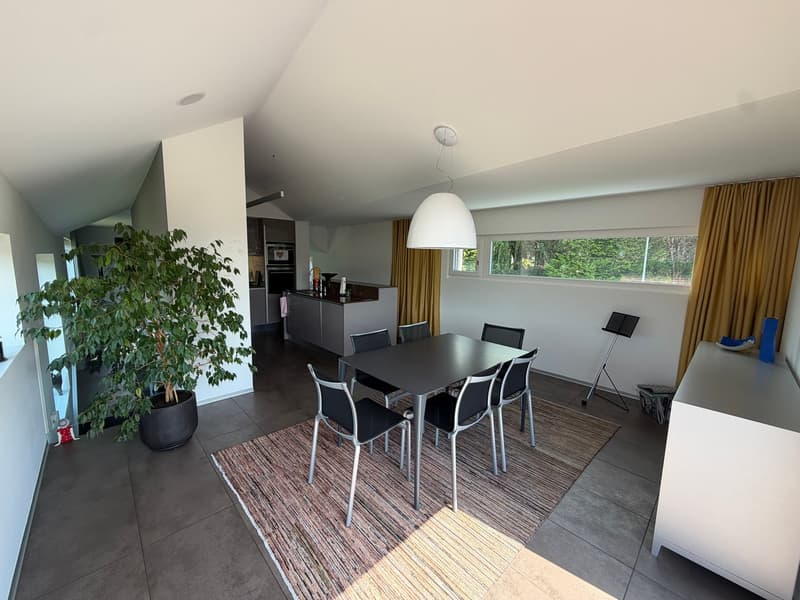 Prächtige und seltene moderne Villa mit 7,5 Zimmern (5)