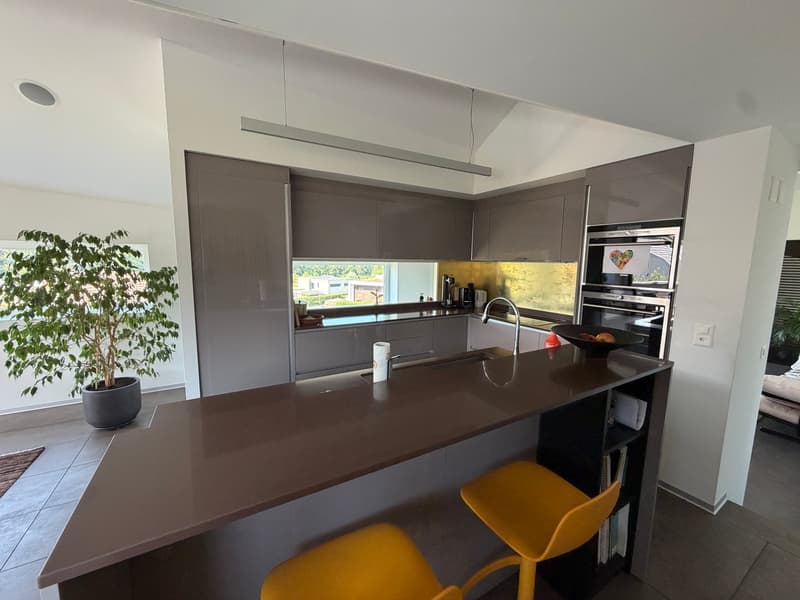 Prächtige und seltene moderne Villa mit 7,5 Zimmern (6)
