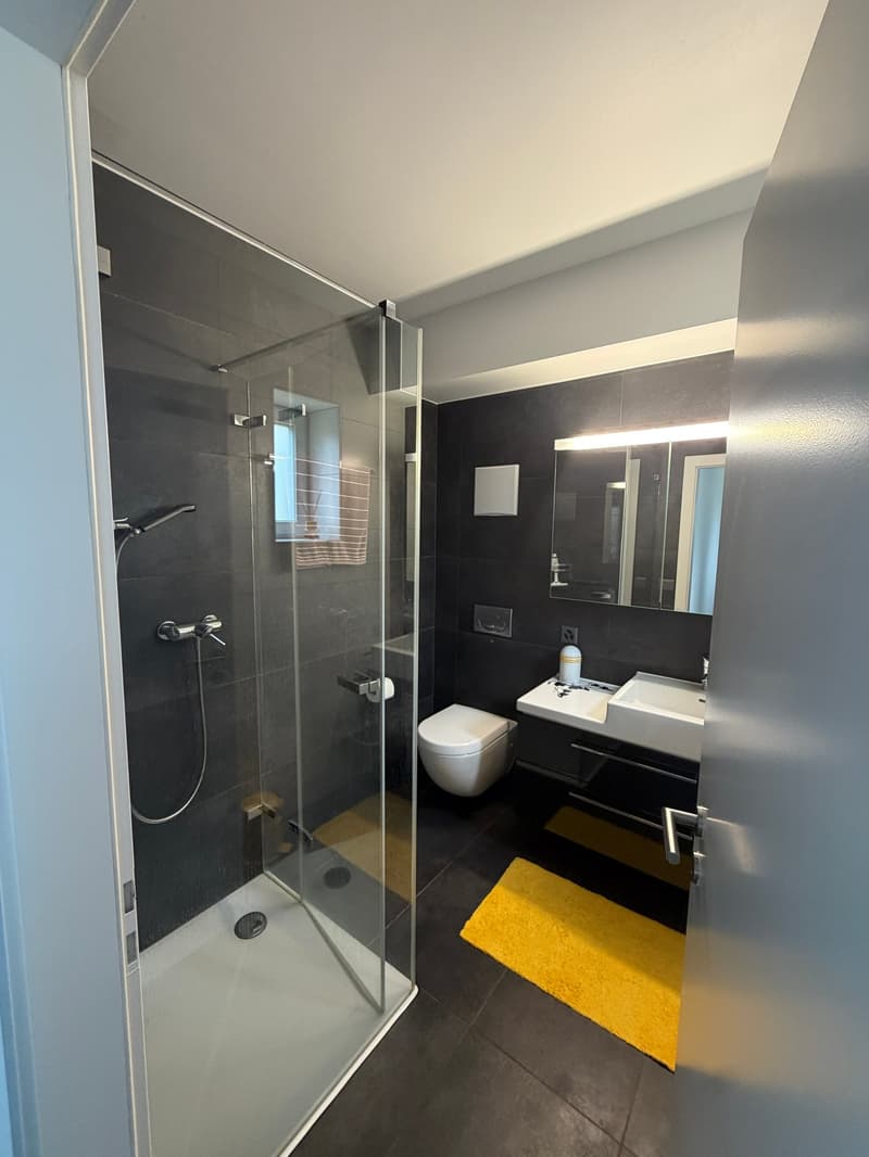 Prächtige und seltene moderne Villa mit 7,5 Zimmern (14)