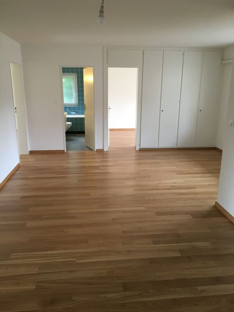 Eingangsbereich / Essbereich